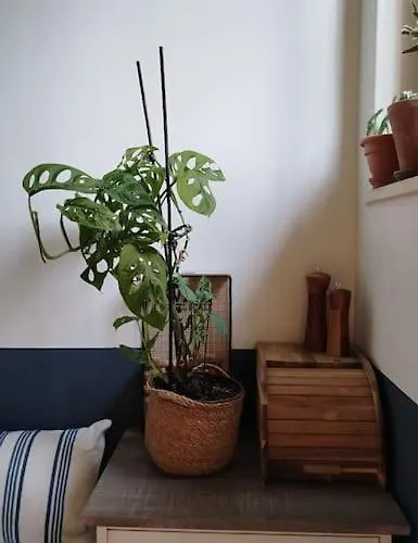 Terpsichore * Patras