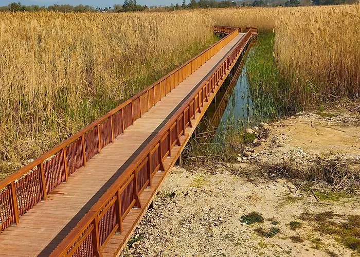 Terpsichore Apartamento *