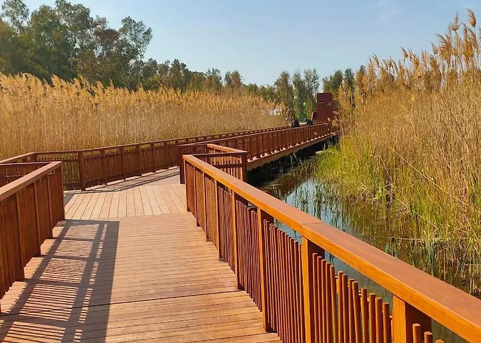 Terpsichore * Patras