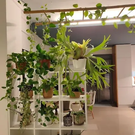 Terpsichore Apartment