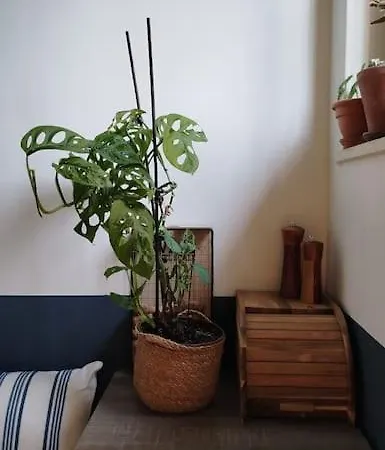 Terpsichore * Patras