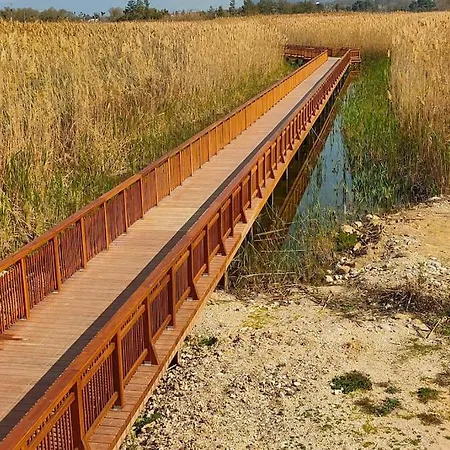 Terpsichore Lägenhet *