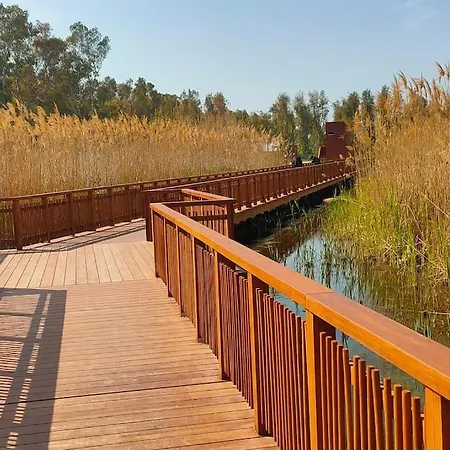 Terpsichore * Patras