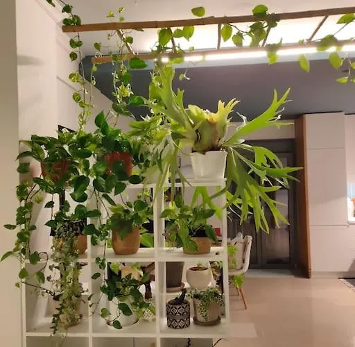 Terpsichore Apartmán